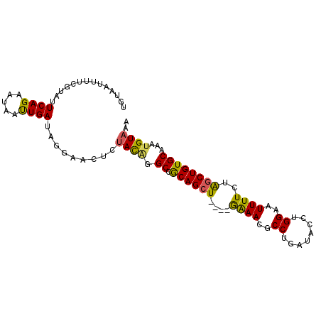 secondary structure
