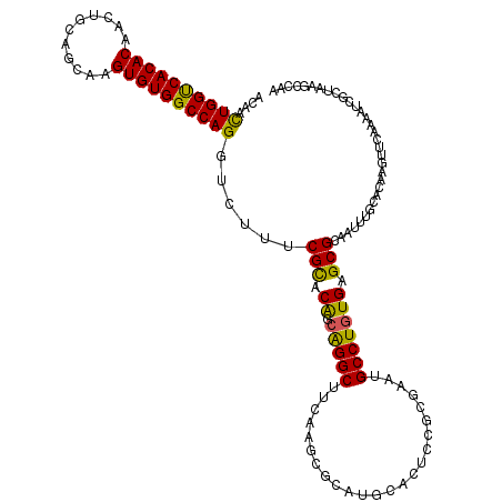 secondary structure
