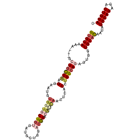 secondary structure