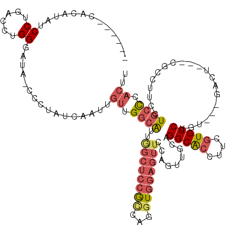 secondary structure