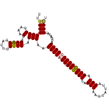 secondary structure