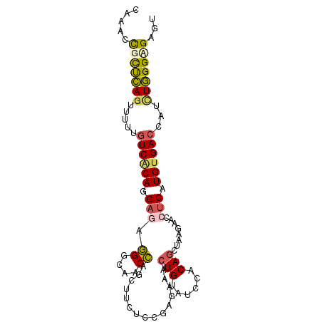 secondary structure