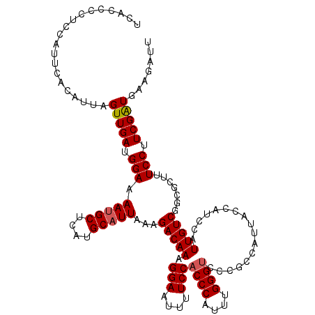 secondary structure