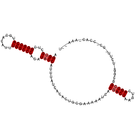 secondary structure
