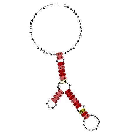 secondary structure