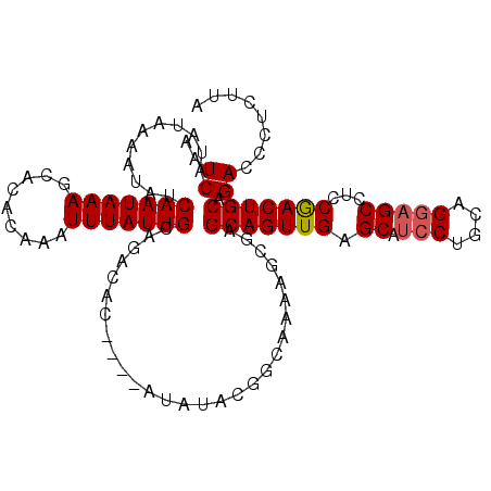 secondary structure
