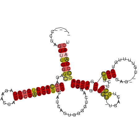 secondary structure