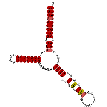 secondary structure