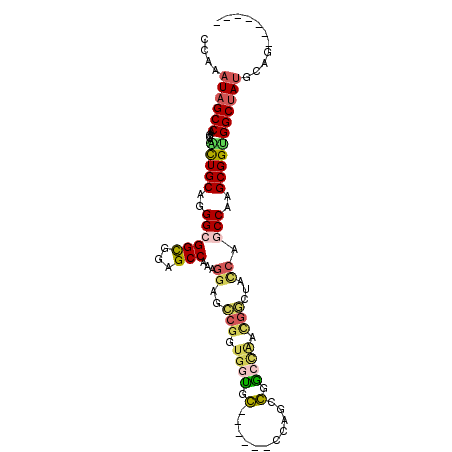 secondary structure