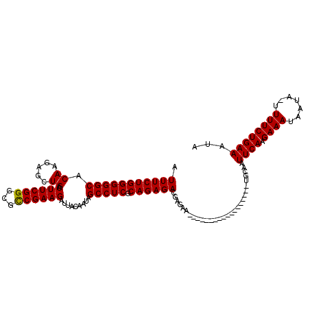 secondary structure