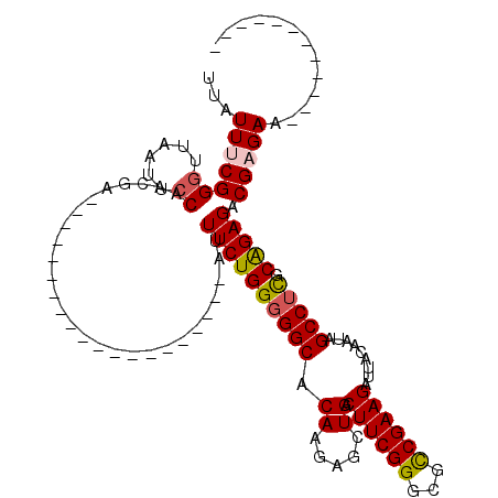 secondary structure