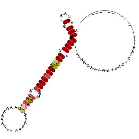 secondary structure