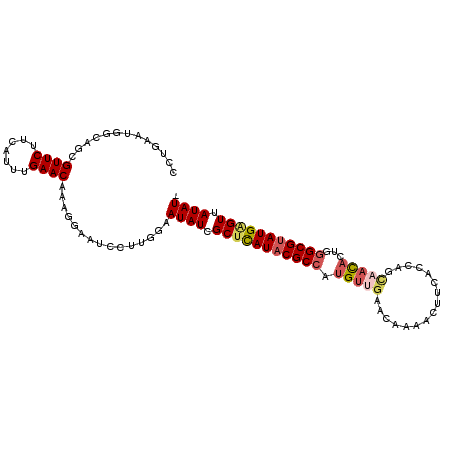 secondary structure