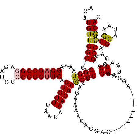 secondary structure