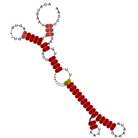secondary structure
