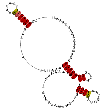 secondary structure