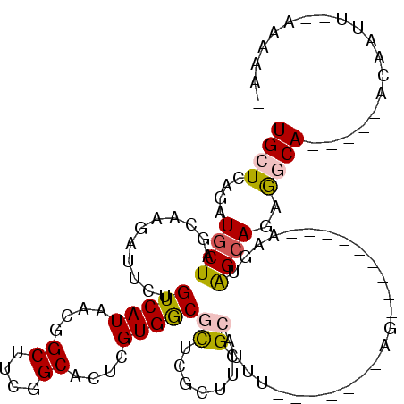 secondary structure