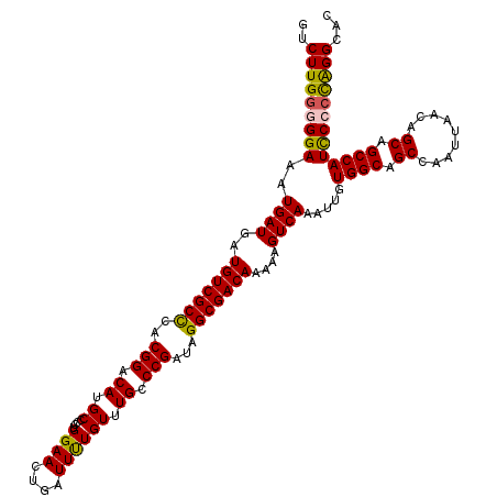 secondary structure