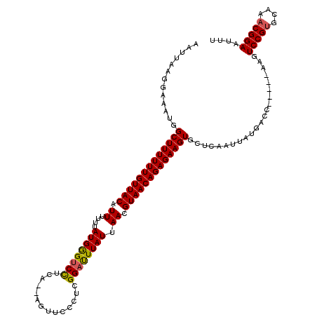 secondary structure