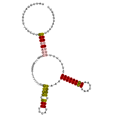 secondary structure