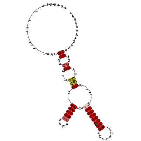 secondary structure
