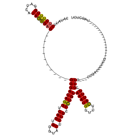 secondary structure