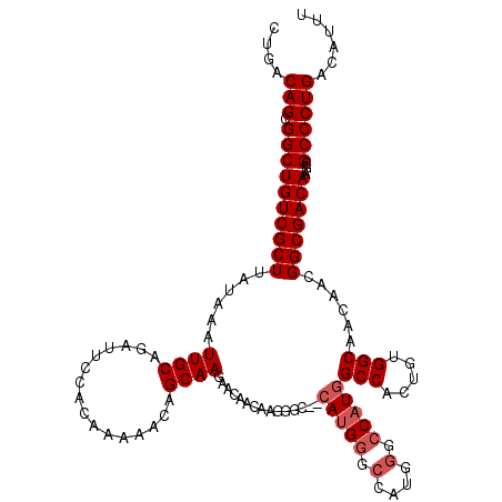 secondary structure