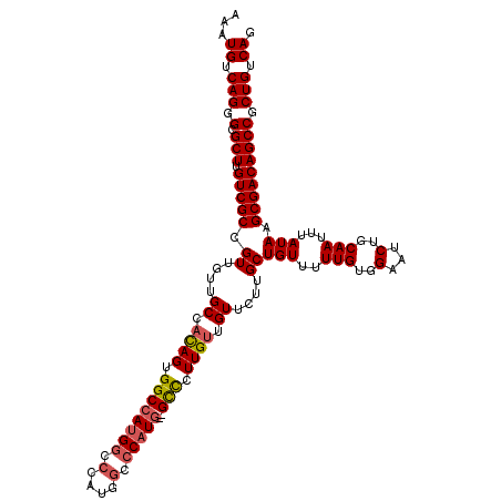 secondary structure