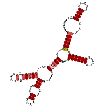 secondary structure