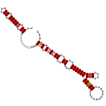 secondary structure