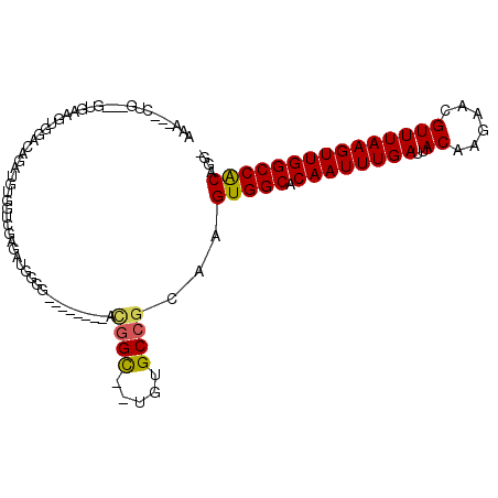 secondary structure
