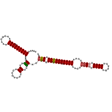 secondary structure