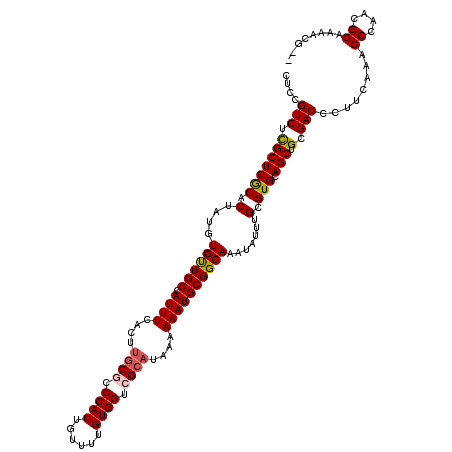 secondary structure