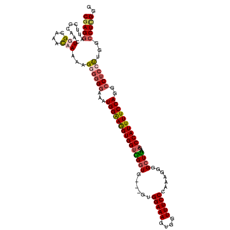 secondary structure