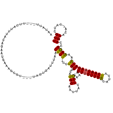 secondary structure
