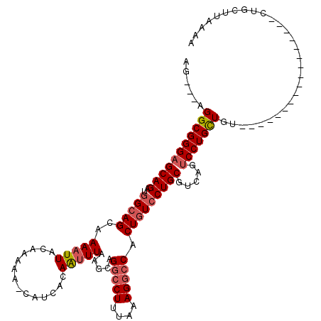 secondary structure