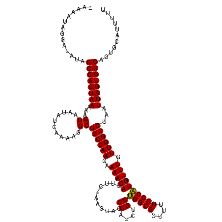 secondary structure