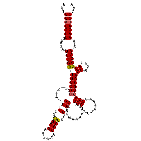 secondary structure