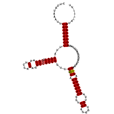 secondary structure