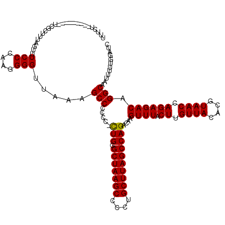 secondary structure
