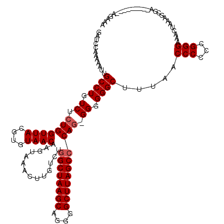secondary structure