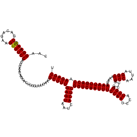 secondary structure