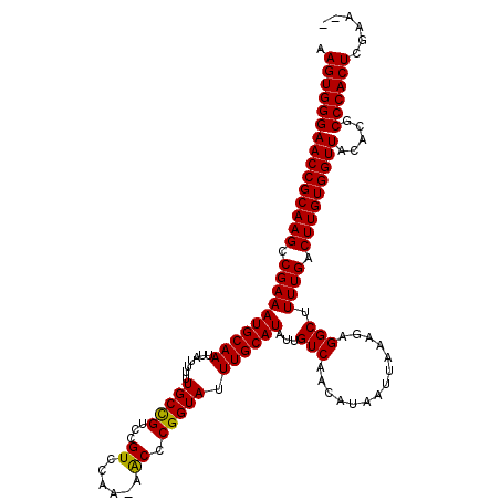 secondary structure