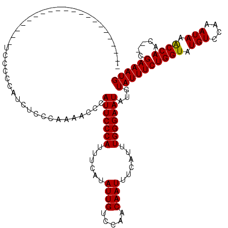 secondary structure