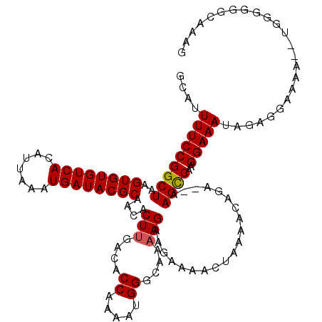 secondary structure