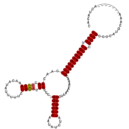 secondary structure