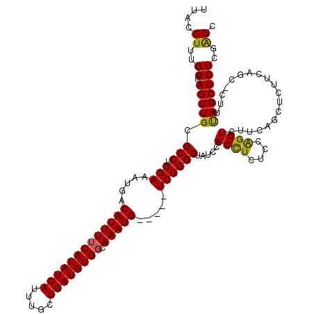 secondary structure