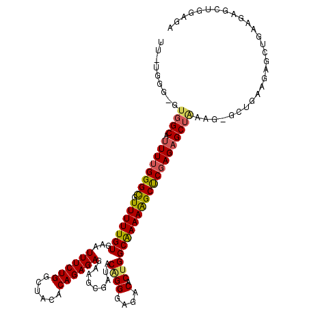 secondary structure