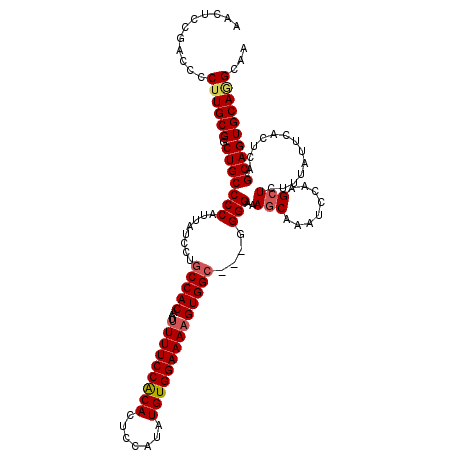 secondary structure