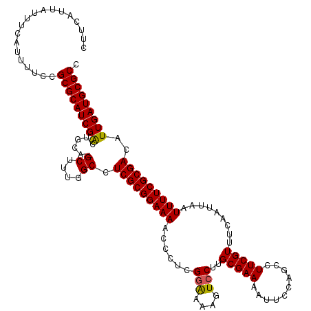 secondary structure